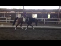 74 Year Old Rider Schooling