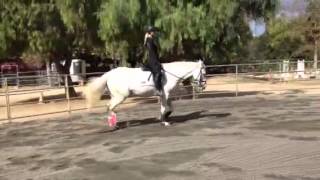 Tanya and Soleil: Recognizing The Working Trot