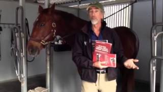Will Faerber’s Book Club: If Horses Could Speak