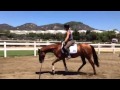 Miracle’s First Trot Under Saddle