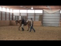 Art2Ride Clinic at Sand Hill Stables in Ohio