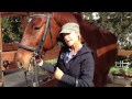 Fitting and Using a Double Bridle Part 1