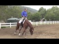 Schooling The Young Horse 1: Will and Feugo