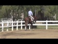 Schooling the Young Horse 2: Will and Salinera