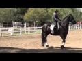 How To Train A Friesian: Orion 3
