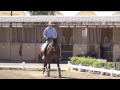Bailador and Will: Schooling Canter