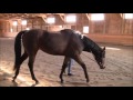 Video Critique by Art2Ride Associate Trainer Tytti Vanhala: Cherisse and Charlie Submission 2