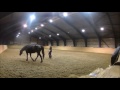 Video Critique by Art2Ride Associate Trainer Katherine Potter: Silje and Staro Submission 1