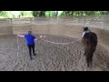 Video Critique by Art2Ride Associate Trainer Carol Darlington: Natalie and Bacetto Submission 1