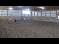Video Critique by Art2Ride Associate Trainer Karli Starman: Jaime and D Rock Submission 1