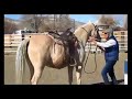 Video Critique by Art2Ride Associate Trainer Amber Matusek: Whiskey Submission 1