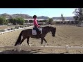 Barb and Perhaps: WDF Foundation Level 1 Test 4