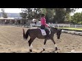 Barb and Perhaps: WDF Foundation Level 1 test 1