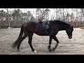 Video Critique by Art2Ride Associate Trainer Katherine Potter: Lauren and Abel Submission 2