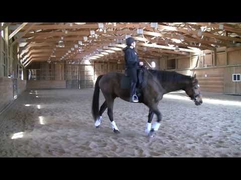 Art2Ride Associate Trainer Program: Cherisse and Charlie Submission 4 (Part 1)