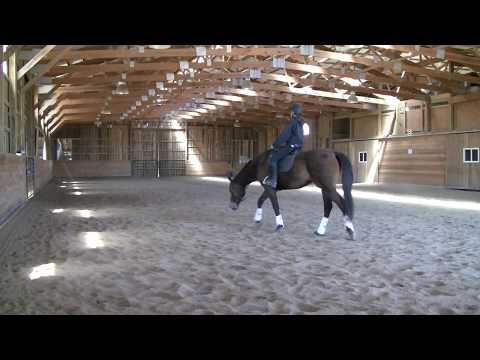 Art2Ride Associate Trainer Program: Cherisse and Charlie Submission 4 (Part 2)