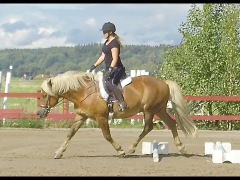 Art2Ride Associate Trainer Program: Tytti’s Lesson for Malin and Poly