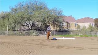 Video Critique By Art2Ride Associate Trainer Sarah Montrowl: Victoria and Vinny Submission 5
