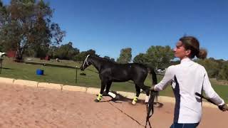 Video Critique By Art2Ride Associate Trainer Katherine: Chilli and Vero Submission 1